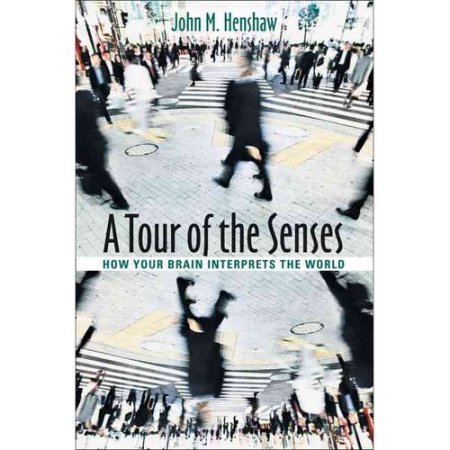 A TOUR OF SENSES